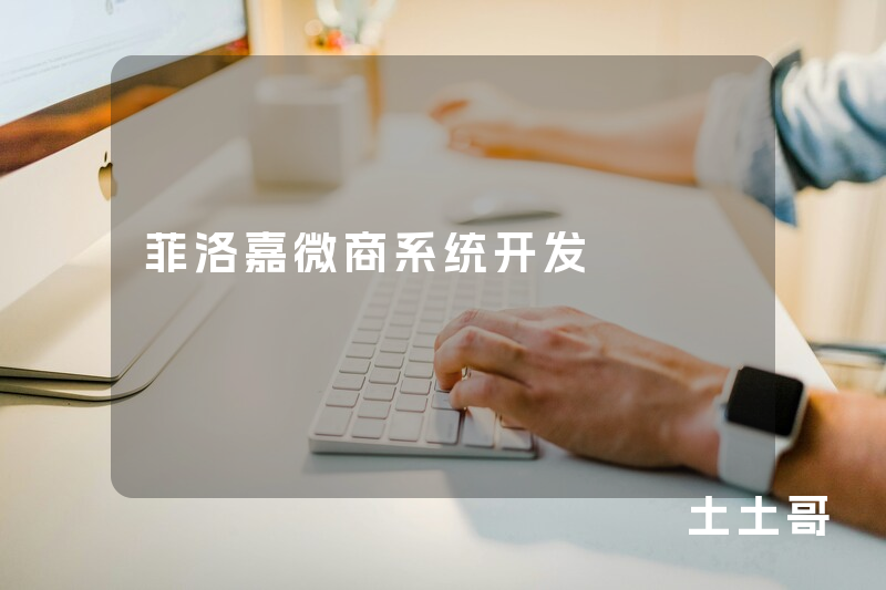 菲洛嘉微商系统开发
