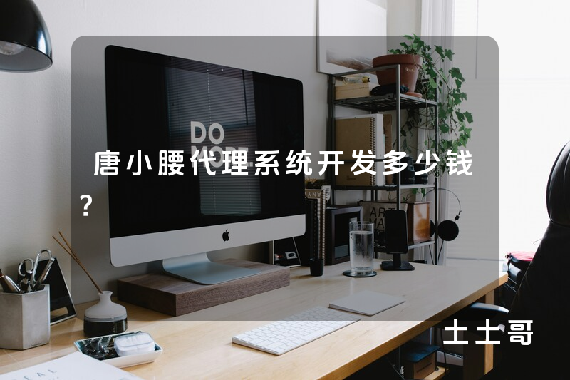唐小腰代理系统开发多少钱？