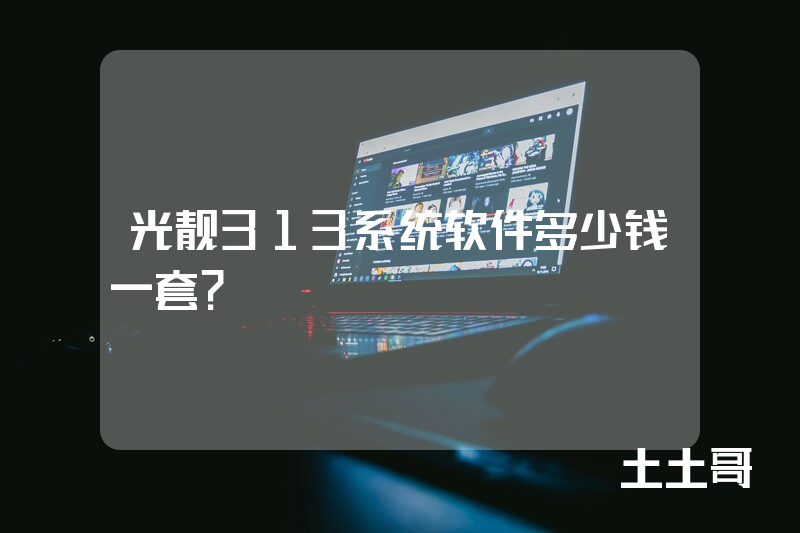 光靓313系统软件多少钱一套？