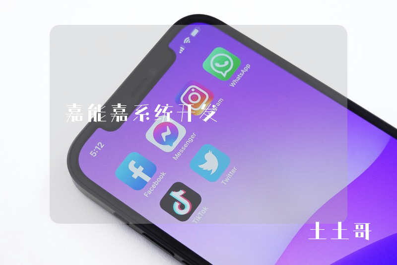 嘉能嘉系统开发
