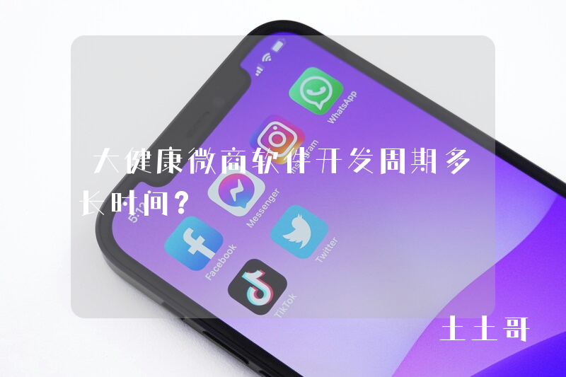 大健康微商软件开发周期多长时间？