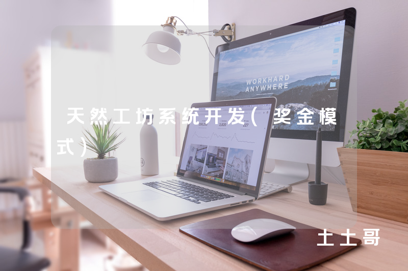 天然工坊系统开发（奖金模式）
