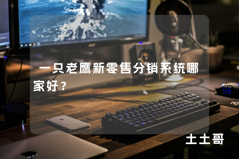一只老鹰新零售分销系统哪家好？