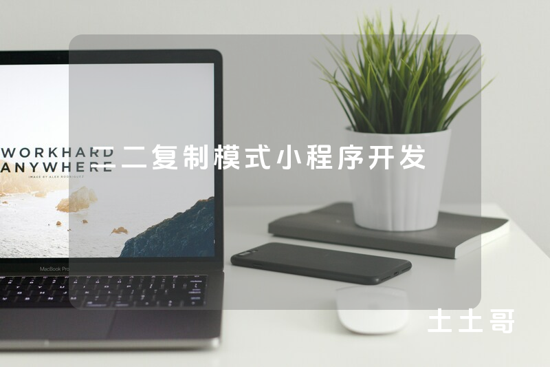 二二复制模式小程序开发