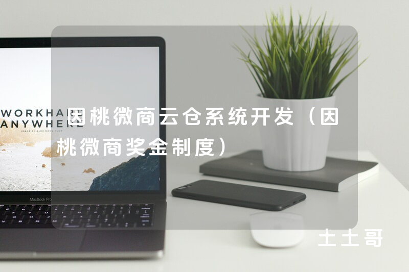 因桃微商云仓系统开发（因桃微商奖金制度）