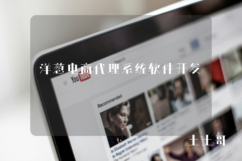 洋葱电商代理系统软件开发