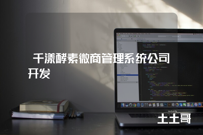 千漾酵素微商管理系统公司开发