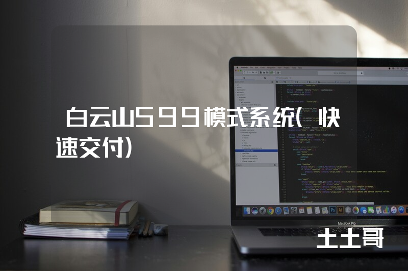 白云山599模式系统（快速交付）