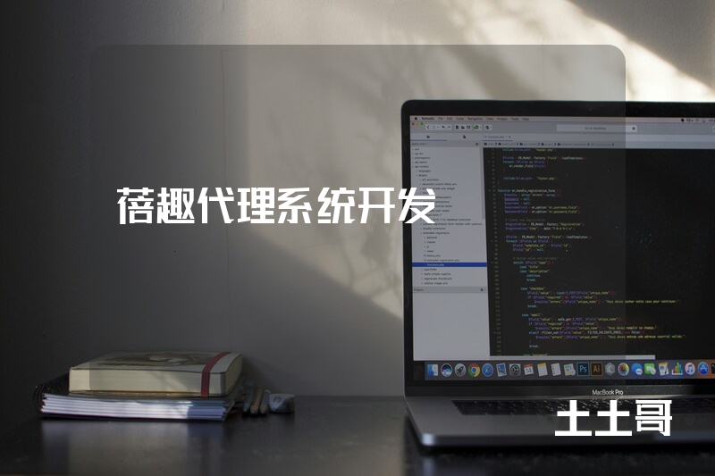 蓓趣代理系统开发