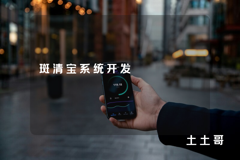 斑清宝系统开发