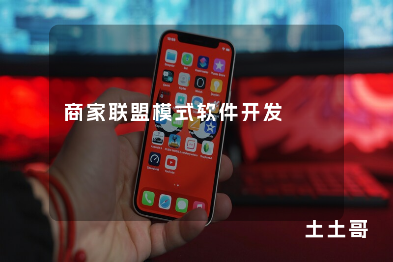 商家联盟模式软件开发