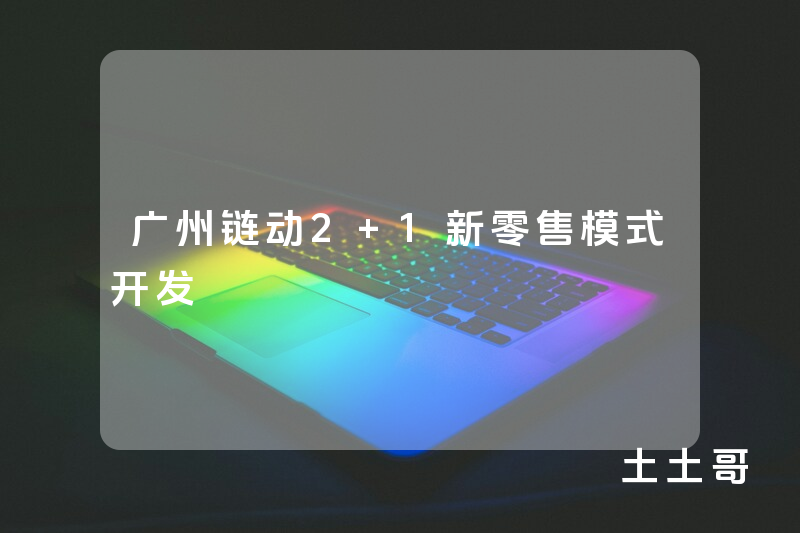 广州链动2+1新零售模式开发