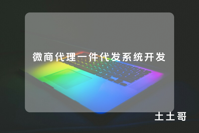 微商代理一件代发系统开发
