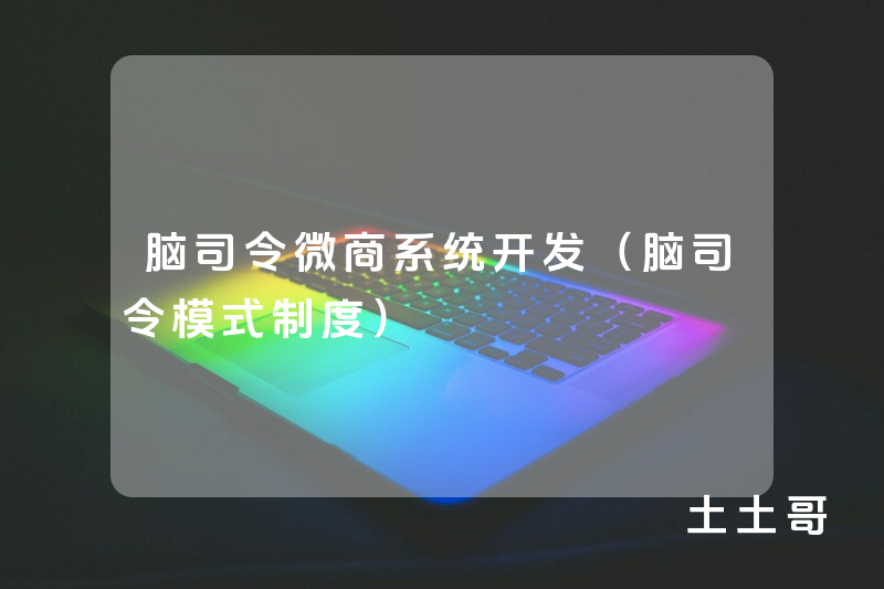 脑司令微商系统开发（脑司令模式制度）