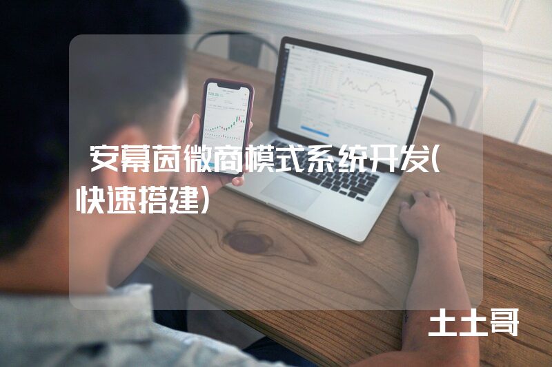 安幕茵微商模式系统开发（快速搭建）