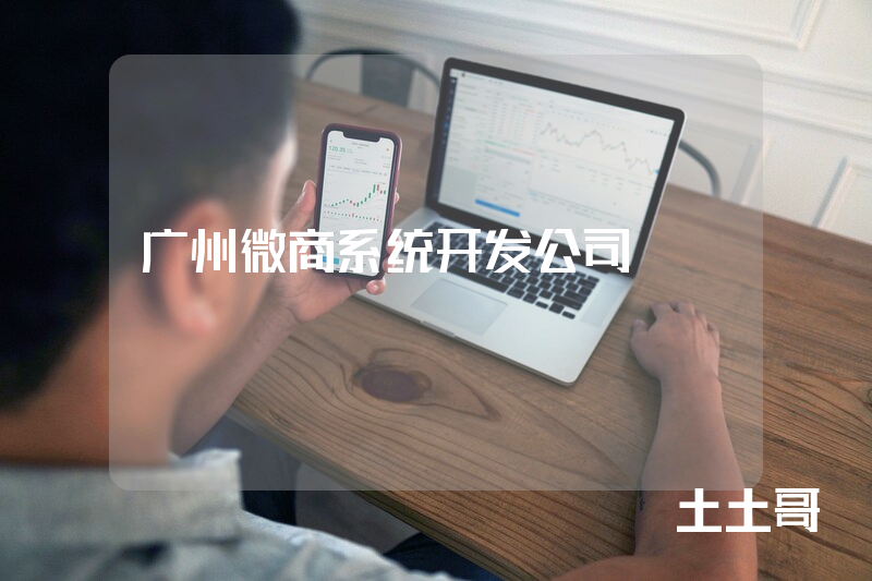 广州微商系统开发公司