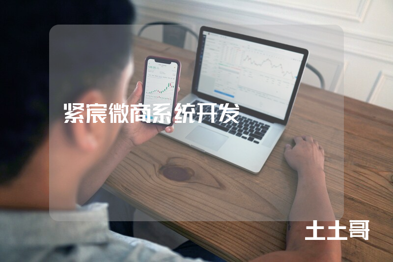 紧宸微商系统开发