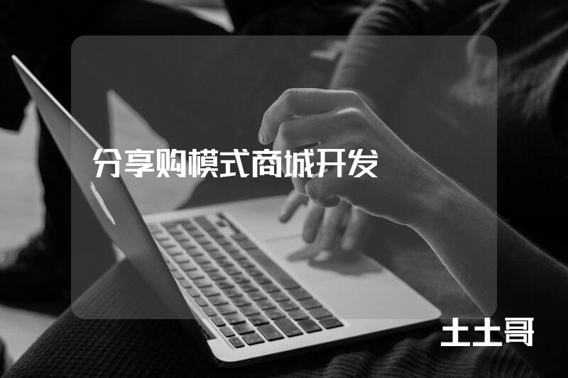 分享购模式商城开发