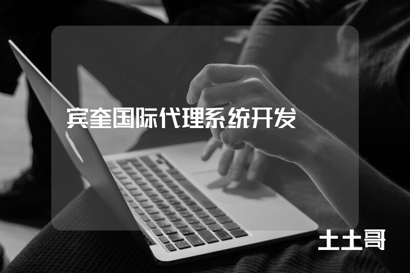 宾奎国际代理系统开发