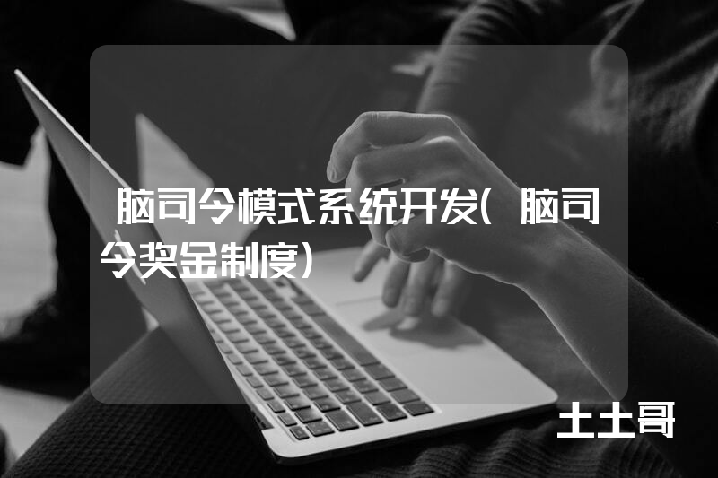 脑司令模式系统开发（脑司令奖金制度）