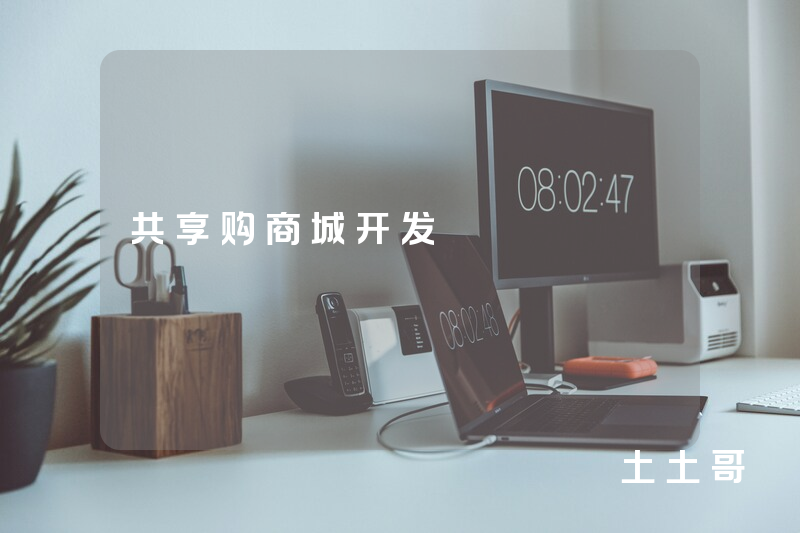 共享购商城开发