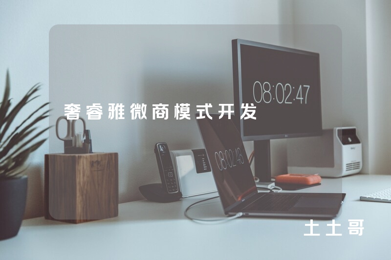 奢睿雅微商模式开发