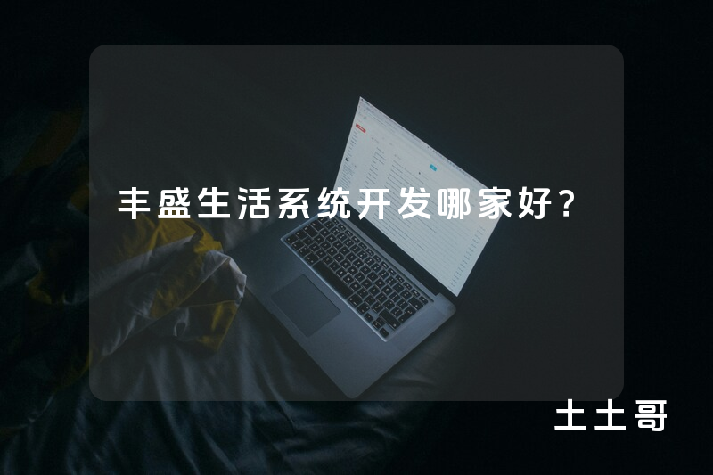 丰盛生活系统开发哪家好？