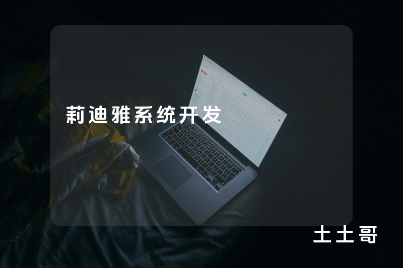 莉迪雅系统开发