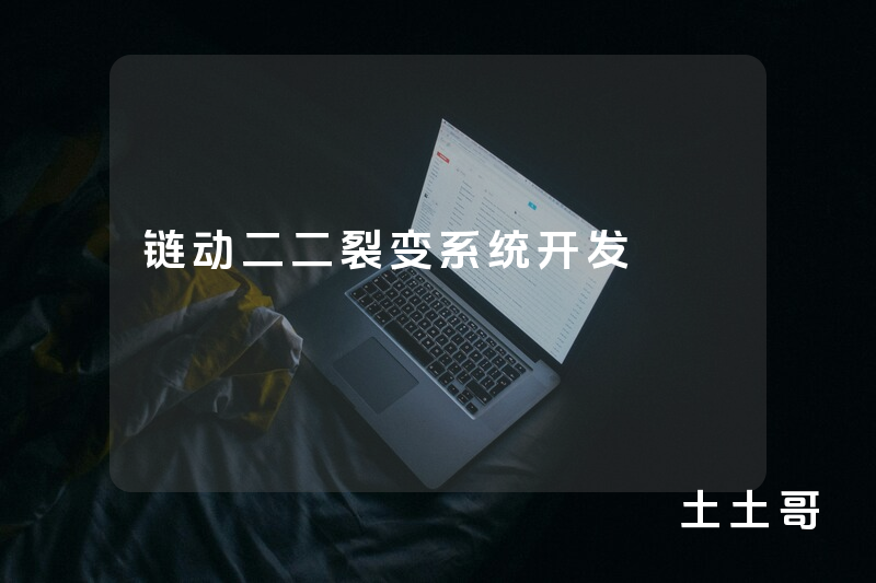 链动二二裂变系统开发