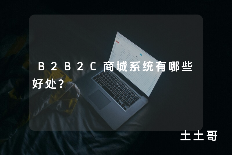 B2B2C商城系统有哪些好处？