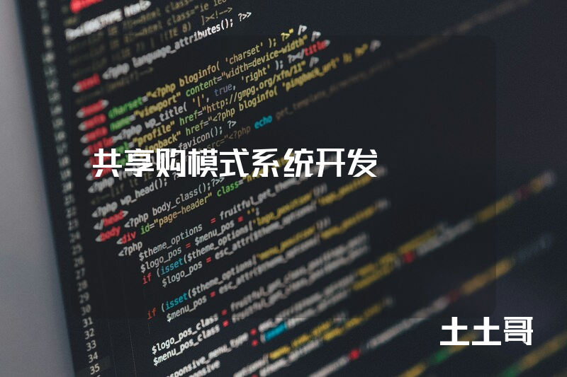共享购模式系统开发