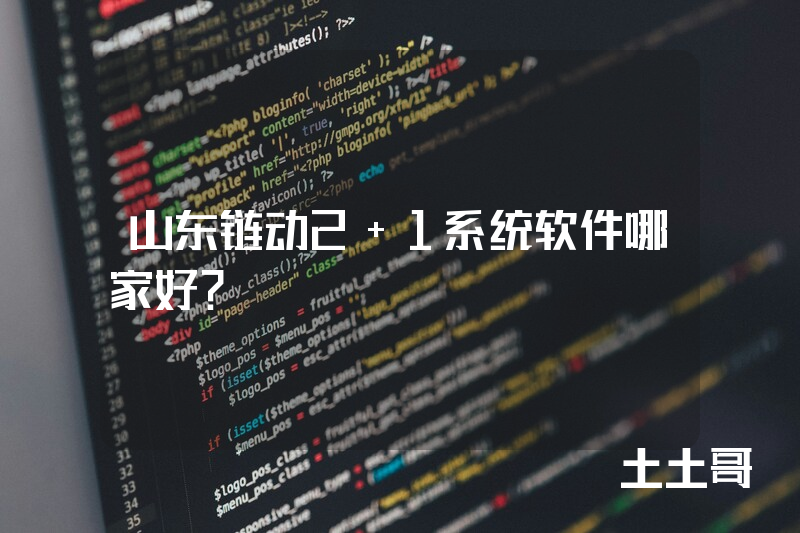 山东链动2+1系统软件哪家好？