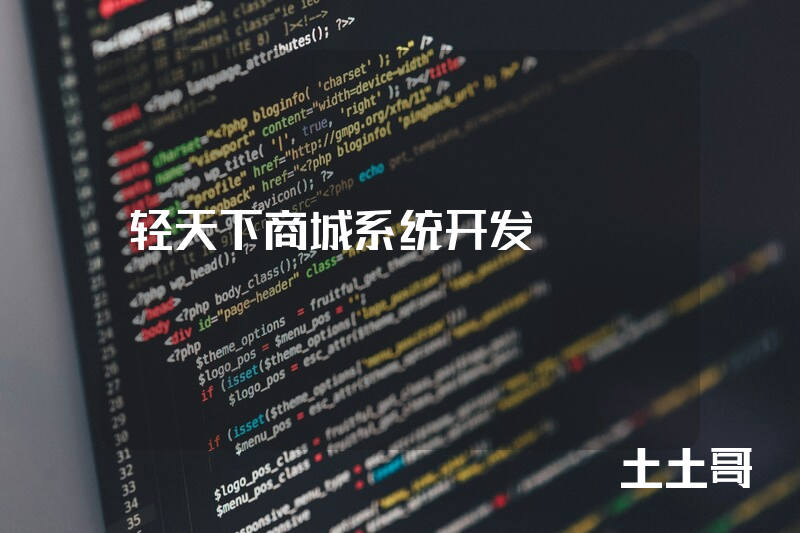 轻天下商城系统开发
