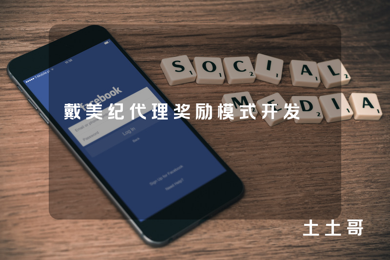 戴美纪代理奖励模式开发