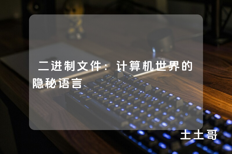 二进制文件:计算机世界的隐秘语言 二进制文件:计算机世界的隐秘语言