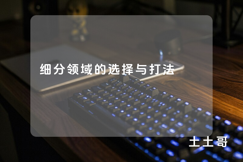 细分领域的选择与打法 细分领域的选择与打法