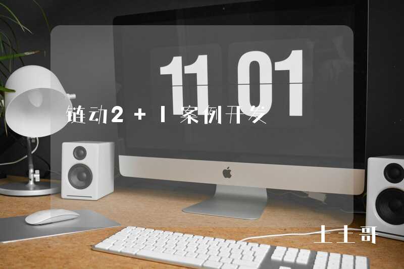 链动2+1案例开发