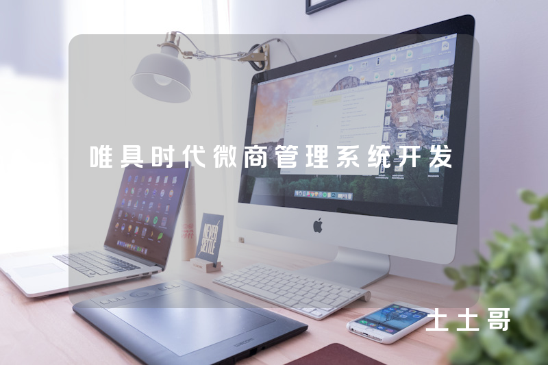 唯具时代微商管理系统开发