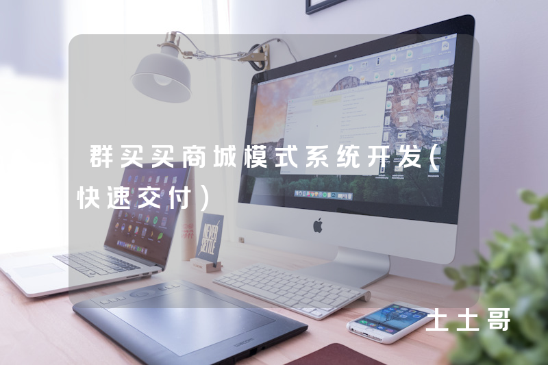 群买买商城模式系统开发（快速交付）