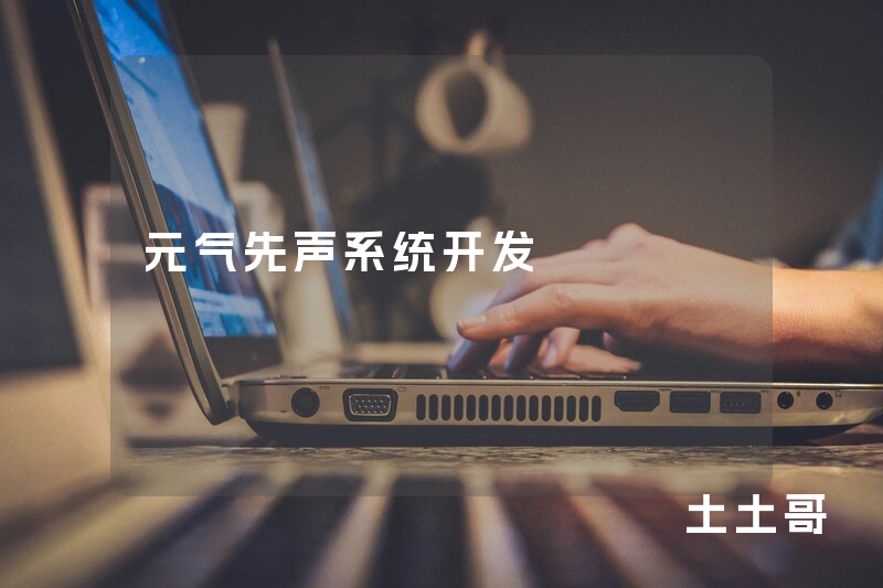 元气先声系统开发