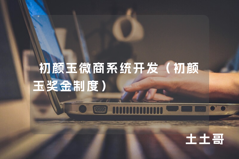 初颜玉微商系统开发（初颜玉奖金制度）
