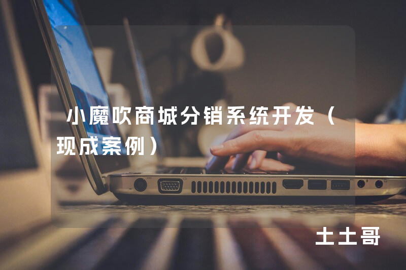 小魔吹商城分销系统开发（现成案例）