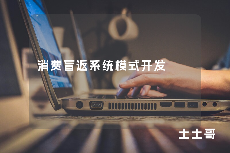 消费盲返系统模式开发