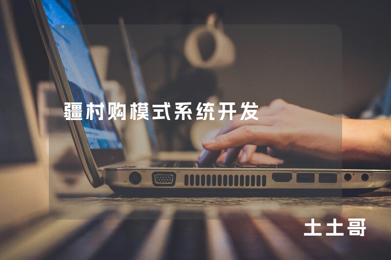 疆村购模式系统开发